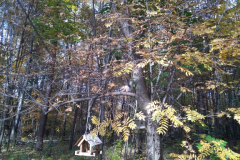 IMG_20181014_124645