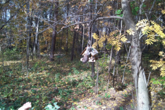 IMG_20181014_124655