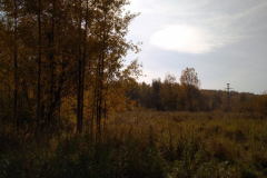 IMG_20181014_125504