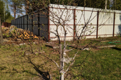 IMG_20190506_161600