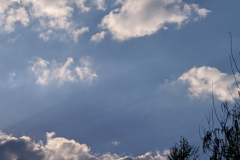 IMG_20190506_175031