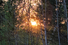 IMG_20190507_191656