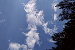 IMG_20190708_155159